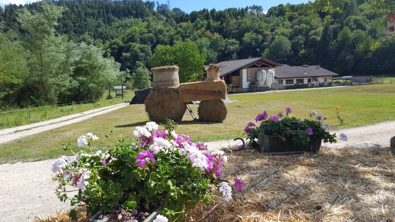 Agriturismo Fattoria Dalcastagne Torcegno ภายนอก รูปภาพ